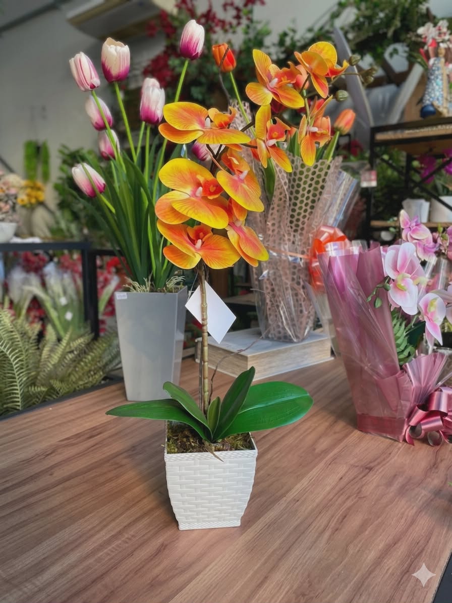 Arranjo de Orquídea Elegante