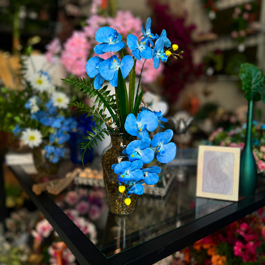 Arranjo de Orquídeas