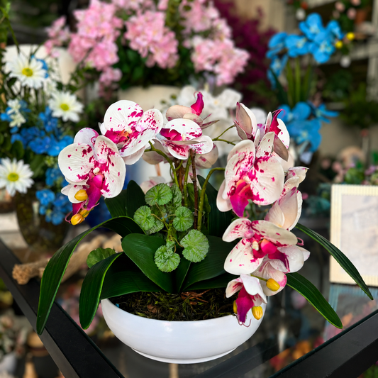 Arranjo de Orquideas