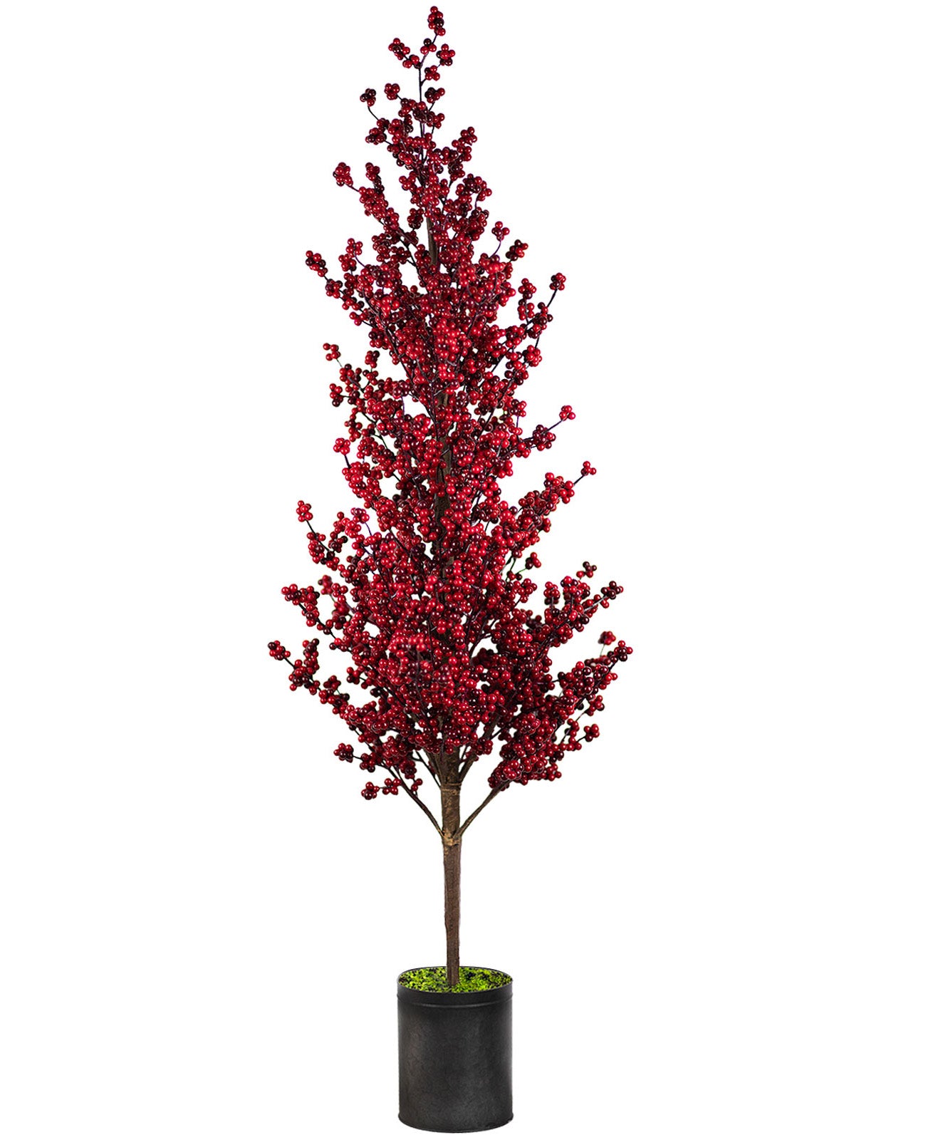 ÁRVORE VERMELHA BERRY