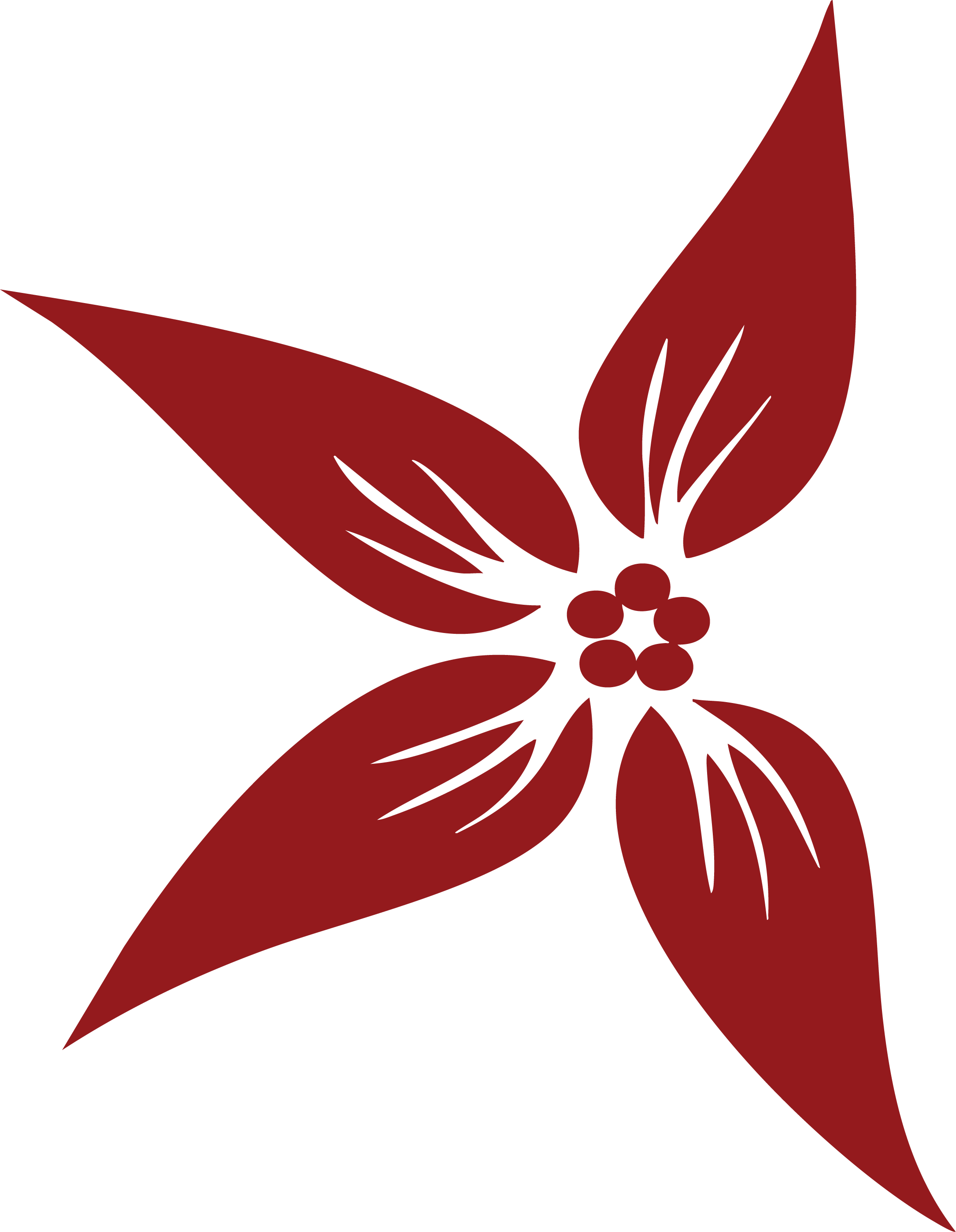 Arte Flor - Taubaté 